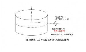 単極誘導のモデル