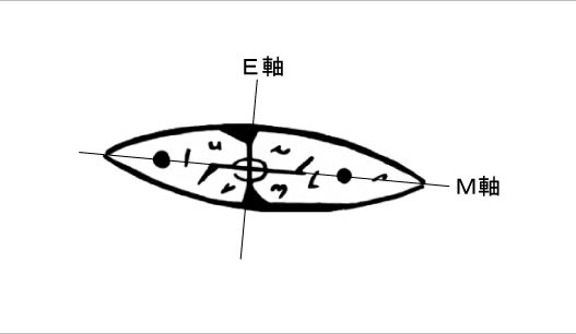 紡錘図形