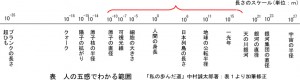 五感でわかるスケール