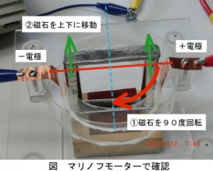 図マリノフで確かめること